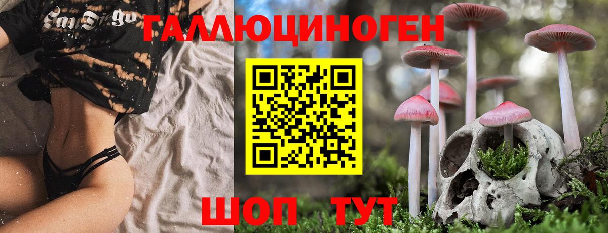 Елизово  Псилоцибиновые грибы прущие грибы  Вход с VPN 